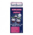  Sambucol Kids Formula ( UK Version ), 120 ml (1 Year Up)