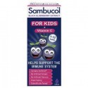  Sambucol Kids Formula ( UK Version ), 120 ml (1 Year Up)